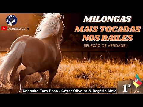 MELHORES SELEÇÔES DAS MÚSICAS GAUCHESCAS 🚨 RITMO MILONGA ! 🚨