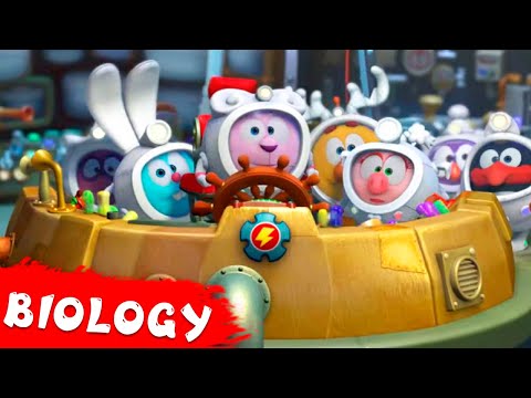 PinCode | Best episodes about Biology. Part 2 | Cartoons for Kids