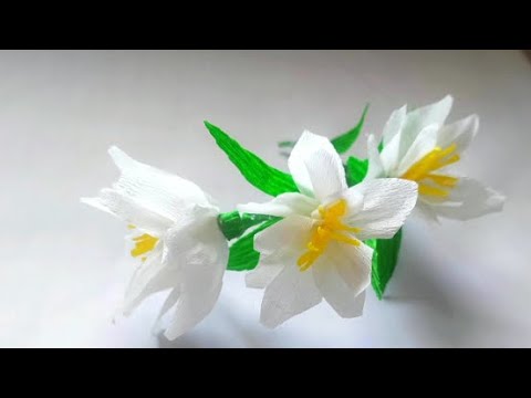 How to make Wrightia Antidysenterica Paper Flower easy and simple