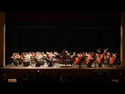 The Sound of Music Highlights, AYO Philharmonic Orchestra