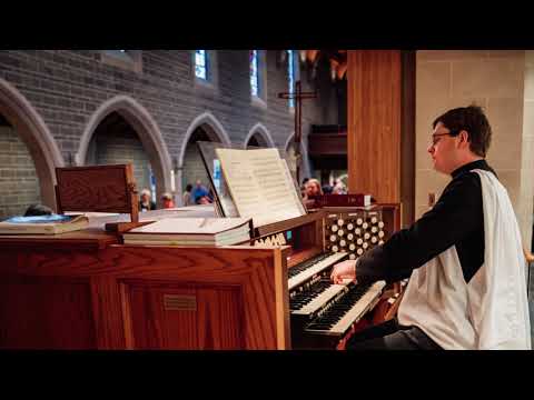 291 We plow the field and scatter