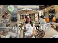 days in my life 🍰 | turning 25, bday haul, girls day, book chats, pre wedding planning, work update!