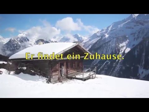 Einhundertelf Zillertaler Krapfen