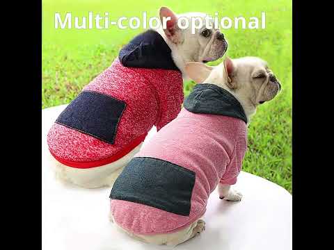 Winter Spring Warm Fleece Dog Hoodies
