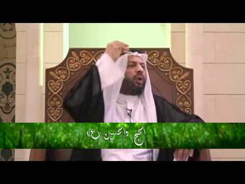 ⁣الحج والحسين عليه السلام - السيد مصطفى الزلزلة