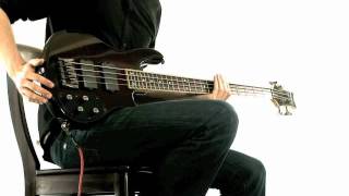 Video thumbnail for Schecter Official RAIDEN ELITE 4 by Schecter Guitar Research