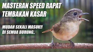 Download lagu PANCINGAN & MASTERAN AMPUH!! BURUNG FLAMBOYAN GACOR NEMBAK KASAR NGEBREN RAPAT NYECRET NGEROLL mp3