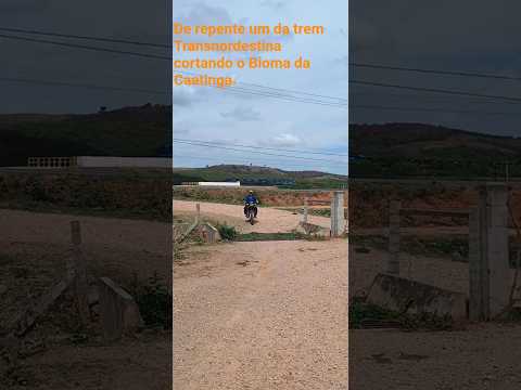 Transnordestina, linha férrea que liga a Caatinga do Brasil, Eliseu Martins PI, Pecém CE, Suape PE.