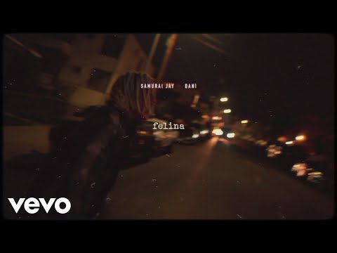 Samurai Jay, DANI - Felina (Visual)