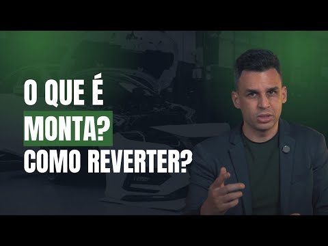 Pequena, Média ou Grande Monta: Entenda a Classificação de Danos e Como Reverter