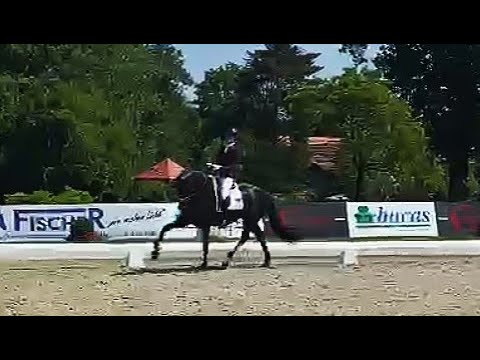 Lowlands at the Bundeschampionate qualification in Hagen - June 2, 2021