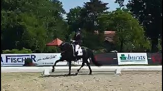 Lowlands at the Bundeschampionate qualification in Hagen - June 2, 2021