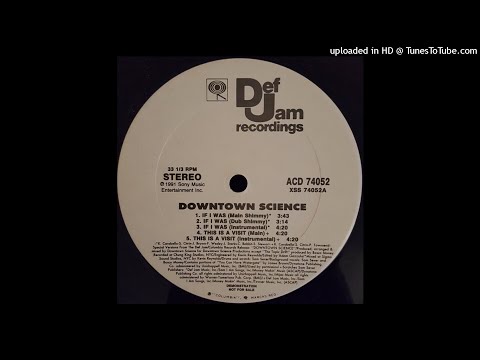 Downtown Science - If I Was (Main Shimmy)