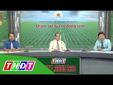Video 4