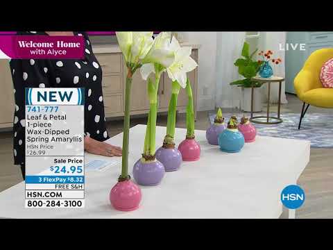 HSN | Welcome Home with Alyce 03.09.2021 - 10 AM