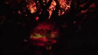 Disney Tree of Life Awakening - MOVIE MONTAGE - Projection Mapping Show, Disney Animal Kingdom NIGHT