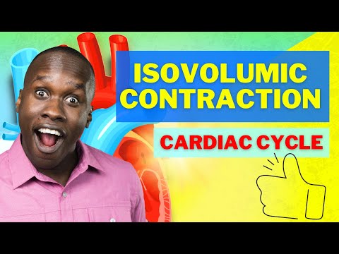 The Cardiac Cycle Phase 2 - Isovolumetric Ventricular Contraction
