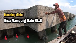 Download lagu Cuma Bayar 35 ribu Mancing disini ikan hamanya banyak banget || pltu kronjo mp3 Download lagu Cuma Bayar 35 ribu Mancing disini ikan hamanya banyak banget || pltu kronjo mp3