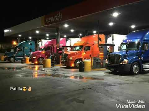 Traileros de alto rango by Patillo llama