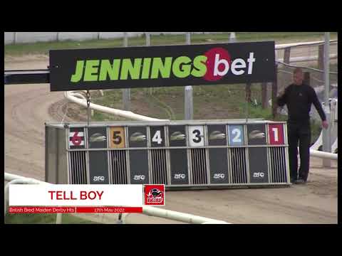 BGBF British Bred Maiden Derby Ht 3 - Tell Boy
