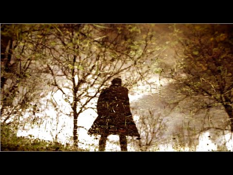 video frame placeholder