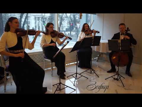 Zefir String Quartet, відео 6