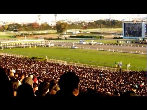 2012年 第32回ジャパンカップ （G1） - Japan Cup, G1 Horse Race