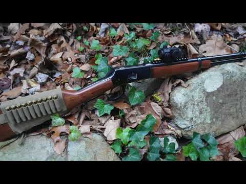 Rossi 92 Lever Action - Ban State Budget Carbine ??
