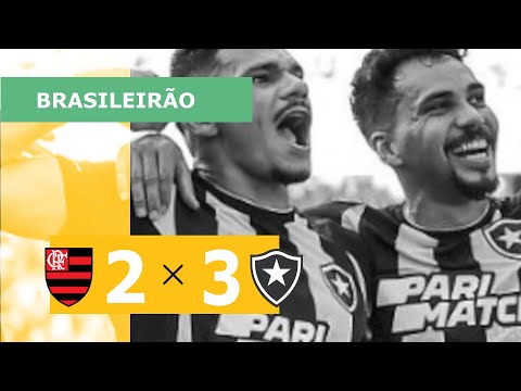 FLAMENGO 2 X 3 BOTAFOGO - CAMPEONATO BRASILEIRO 2023; VEJA OS GOLS