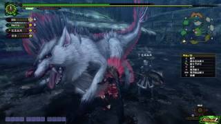 [MHFZ]初見でノノ・オルガノン討伐！！