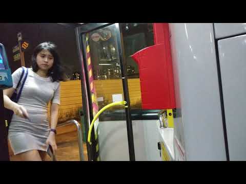 SMB317Y on 187 SMRT MAN A22 NL323F Gemilang MAN Lion City Bus