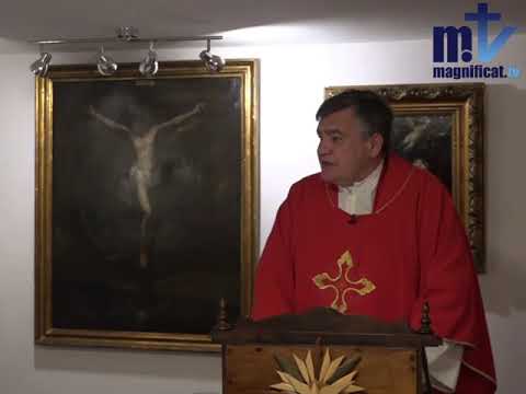 Homily, Saint Andrew Dung Lac And Companions | Fr. Santiago Martin FM | 11.24.2020