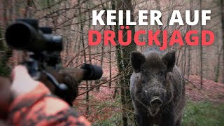 Drückjagd in der Eifel I Keiler auf der Strecke!
