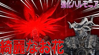 夏でも花見が出来るらしい❓ 【エルデンリング ナイトレイン】