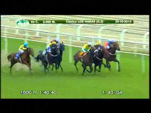 Reunion Nro 97 Fecha 25-10-2013, Carrera N� 8