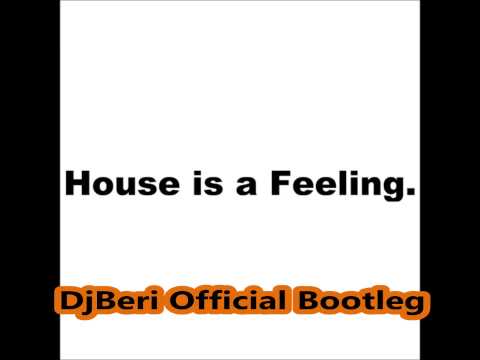 Martin Garrix vs Icona Pop vs Avicii & Aloe Blacc - Wake The Animal (DjBeri Mashup)