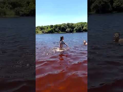 crianças dando mergulho (parte 2)