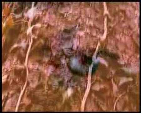 Ti si tu - Barbara Gabrielle