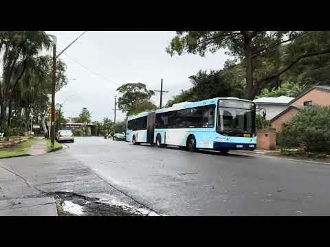 Palm Beach, Australia: You NEED To See This!