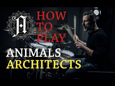 How To Play Animals from Architects On The Drums