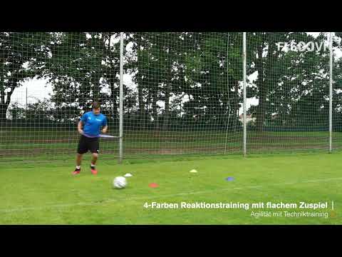 4 Farben Reaktionstraining mit flachem Zuspiel   Athletiktraining für Fußballer   FLEXVIT