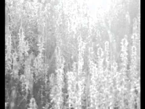 Mouth of The Architect - Rocking Chairs and Shotguns