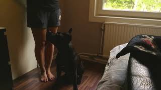 Kontaktutmaning dag 3