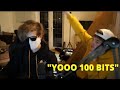 YOOOOO 100 BITS