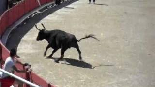 A La Carte-Viva Torero