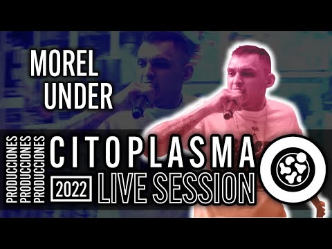 Live Session 2022 / Morel Under