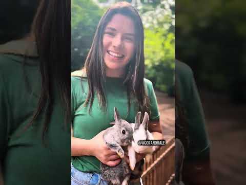 Conheça o Recanto Três Arroios em Santa Clara do Sul