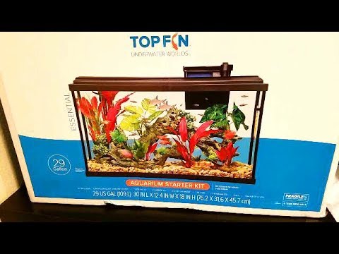 BETTA fish Aquarium UPGRADED finally!!