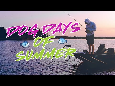 FISHING THE DOG DAYS OF SUMMER (THE 4 TIPS YOU NEED TO KNOW)