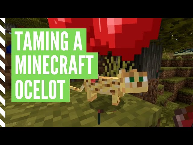 Can Ocelots Still Be Tamed